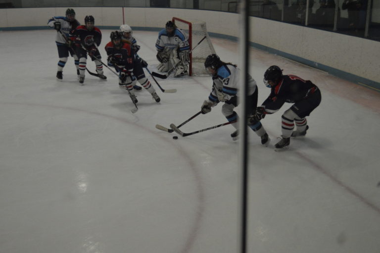 Girls Ice Hockey Season Ends on a High Note